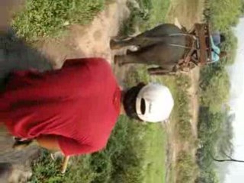 RnB on our Elephant