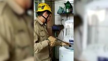 Mulher aciona bombeiros após encontrar jararaca em máquina de lavar roupas