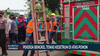 Pekerja Bengkel Tewas Kesetrumdi Atas Pohon
