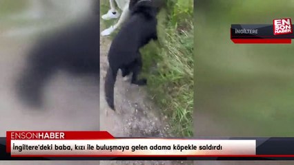 İngiltere'deki baba, kızı ile buluşmaya gelen adama köpekle saldırdı