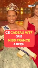 Ce cadeau WTF que Miss France a reçu