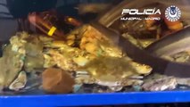 El restaurante chino de los horrores en Madrid: pescados y cangrejos prohibidos en un acuario sucio y turbio