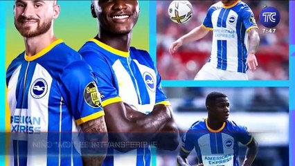 Moises Caicedo es intransferible para el Brighton