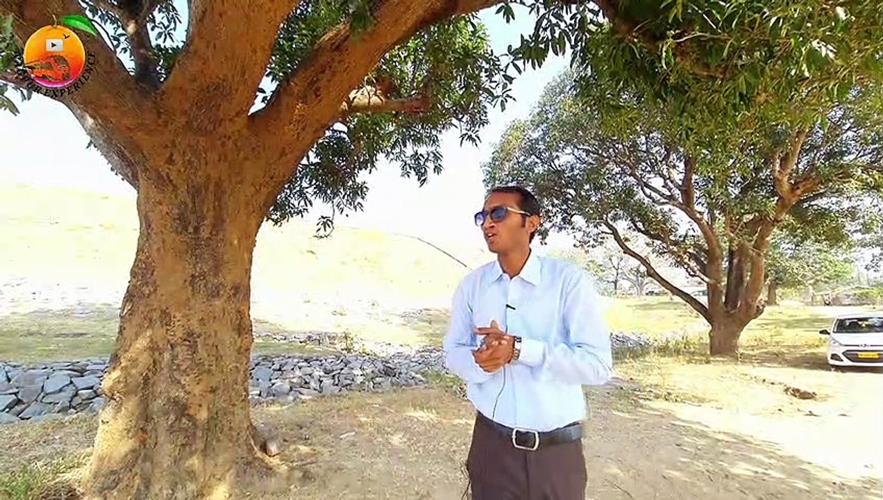 Nahlesara Dam Katangi Road Madhya Pradesh  | नहलेसरा बांध | Nagpur Experience