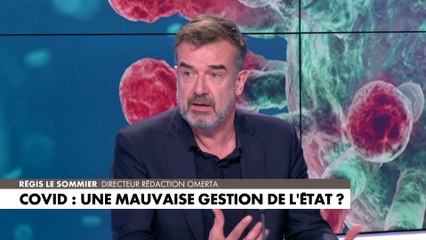 Régis Le Sommier : «Cette communication du gouvernement à l'époque était mensongère»
