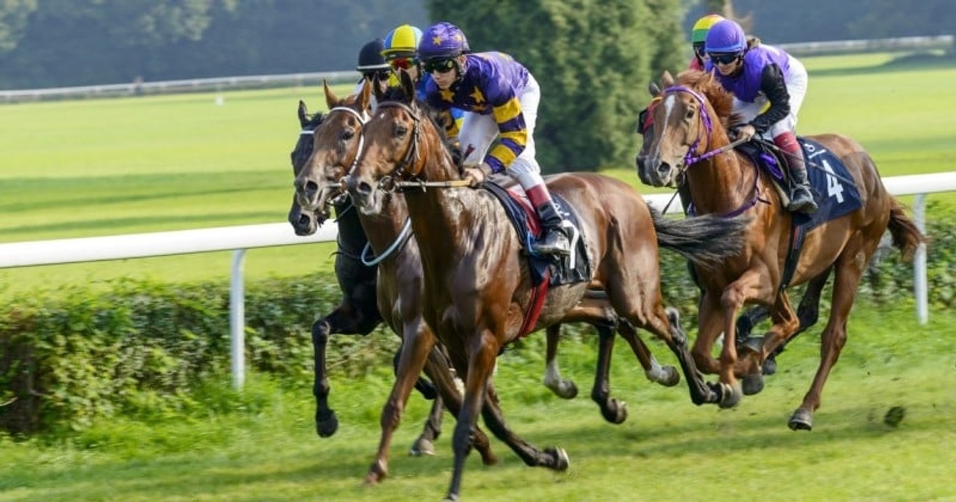 Il mise 2 euros sur un pari hippique et remporte le gain le plus élevé jamais empoché dans le Finistère