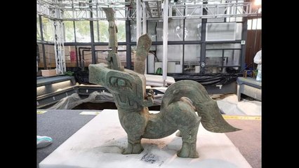 Sanxingdui Harabeleri'ndeki Antik Heykel Kalıntıları Yeniden Biraraya Getirildi