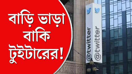 আবার বিতর্ক ইলন মাস্কের টুইটার ঘিরে