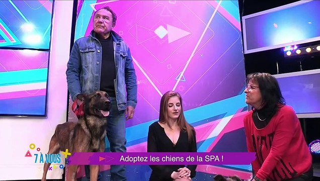 Toute l'équipe de 7 à vous vous présente ses meilleurs voeux pour 2023 et vous dévoile les bons plans et infos positives de ce début d'année !