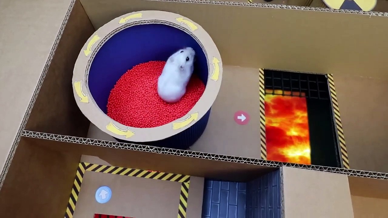 Hamster Escapes the Awesome 5-Star Luxury Prison Maze with Bathtub for Pets in real life