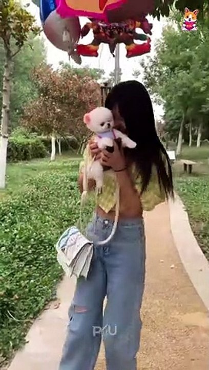 Cute and Funny Pomeranian Videos 204