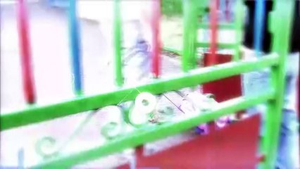 LE JOURNAL DE LA QUOTIDIENNE : Le journal du mercredi 4 janvier 2023