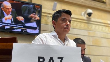 Ariel Ávila: “Hubo un error monumental, pero el proceso de paz no está en crisis”