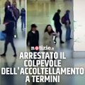 Uomo arrestato a Milano per l'accoltellamento della ragazza alla stazione di Roma Termini