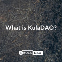 What Is a DAO? | KulaDAO Explained 🗳️