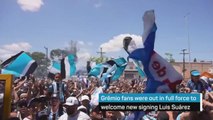 Luis Suarez receives raucous reception from Gremio fans