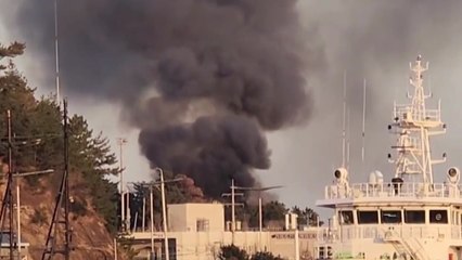 부산 대변항 근처 임야 화재...인명피해 없어 / YTN