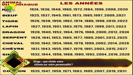 Singe : que révèle votre  chinois sur votre personnalité ?