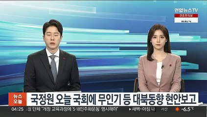 국정원 오늘 국회에 무인기 등 대북동향 현안보고