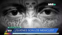 Nación criminal con Óscar Balderas -: ¿Quiénes son los mexicles? MVS NOTICIAS