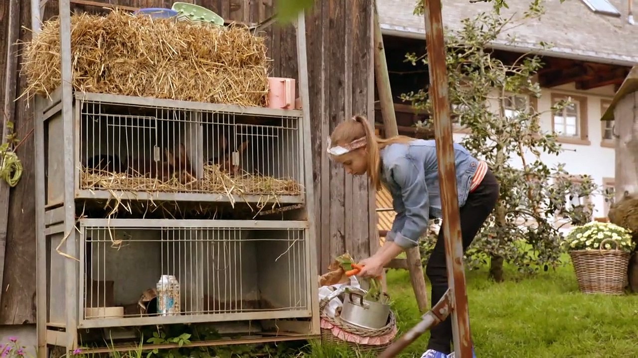 Tiere bis unters Dach Staffel 7 Folge 5