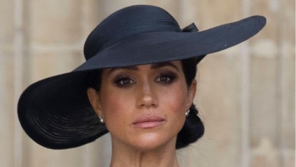 Meghan's alleged memoir hints at political future