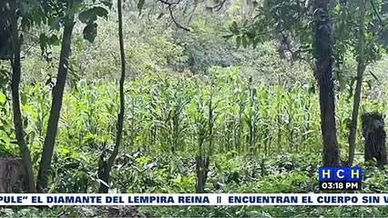 Nativos de Cañaveral, Cortés invaden más de 40 manzanas de tierra que pertenecerían a la ENEE