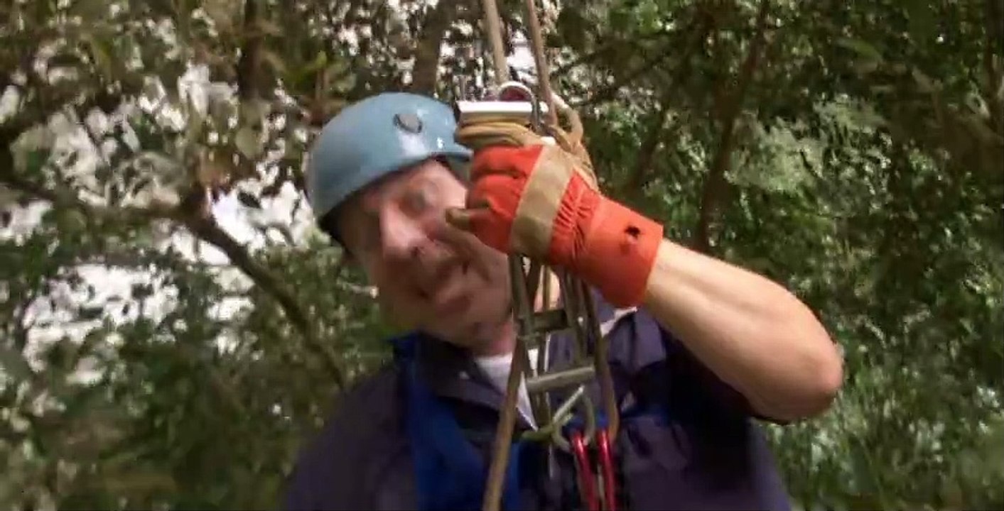 Wild Kratts S02 E05