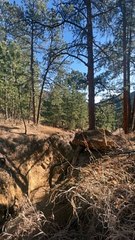 Guy on Bike Hits Tree