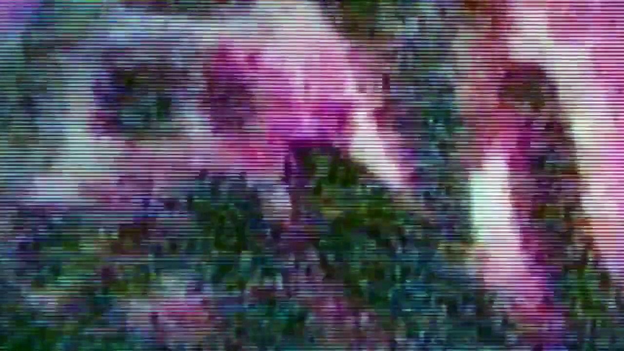 Girls - Se2 - Ep03 HD Watch