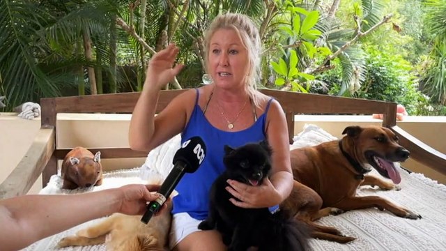 Little dog rescued from a snake by its owner on a Queensland beach.