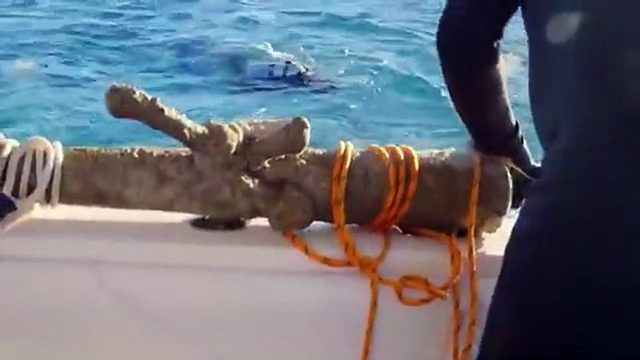 Cooper's Treasure - Se2 - Ep02 HD Watch