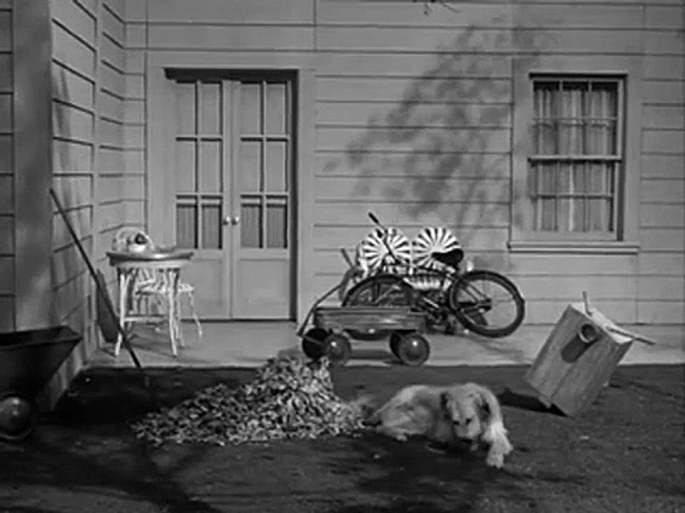 My Three Sons - Se1 - Ep11 HD Watch