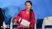 How Greta Thunberg Called Out Andrew Tate Online