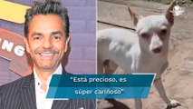 Eugenio Derbez rescata a perrito abandonado; le busca hogar, pero le piden que se lo quede