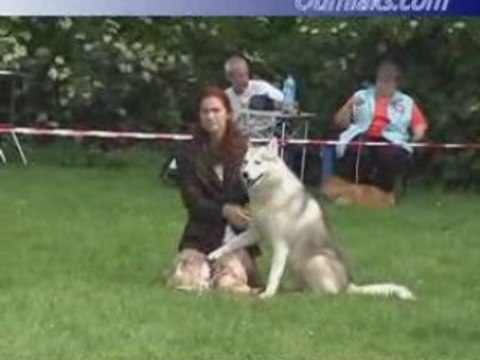 Oumiak's Arctic Qiwi - German Specialty 2007