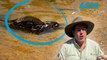 Tim the Yowie Man finds hidden platypus around Canberra
