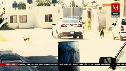 Una revisión de rutina terminó en riña entre policías vecinos en Villas de Universidad; Coahuila