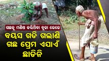 Special Story | 90 Year old nature lover continues to plant trees since childhood in Dhenkanal