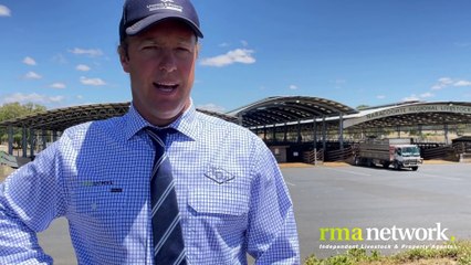 Rob Handbury from TDC, Naracoorte | Stock Journal | 05/01/23