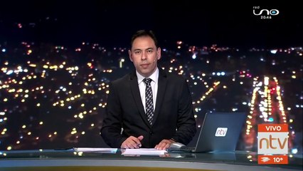 Rescataron a un armadillo bebé que era comercializado en Sacaba