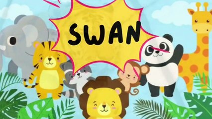 CURIOSITY ABOUT ANIMALS FARM