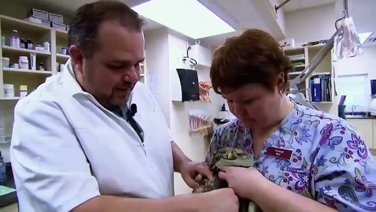 Hope in the Wild - Se1 - Ep01 HD Watch