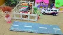 gadi wala cartoon _ toy helicopter ka video _ pagal beta cartoon _ Chinu Tinu Aur Mummy Part 3