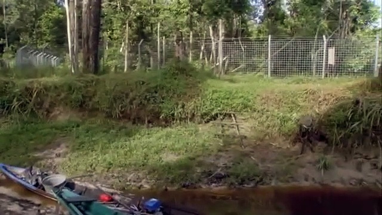 Orangutan Island - Se1 - Ep05 - Break Out HD Watch