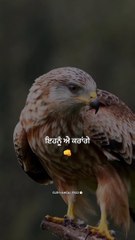 SIDHU MOOSE WALA famous speach