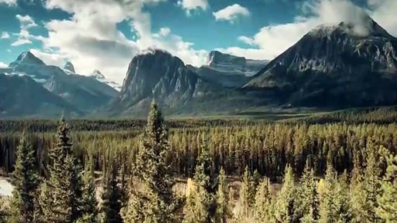 Mur-'der Board - Se1 - Ep07 - Dead End Alley HD Watch