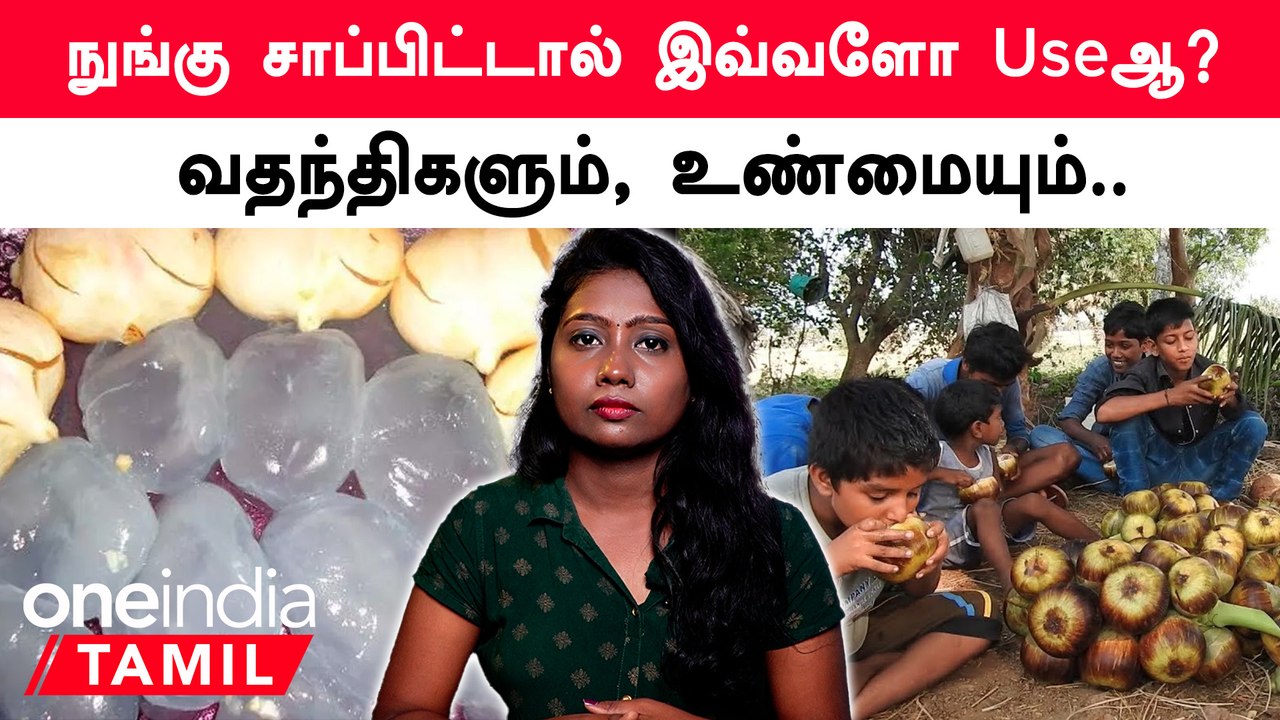 Palmya Fruit | நுங்கு சாப்பிடுவதால் ஏற்படும் நன்மைகள் என்ன?