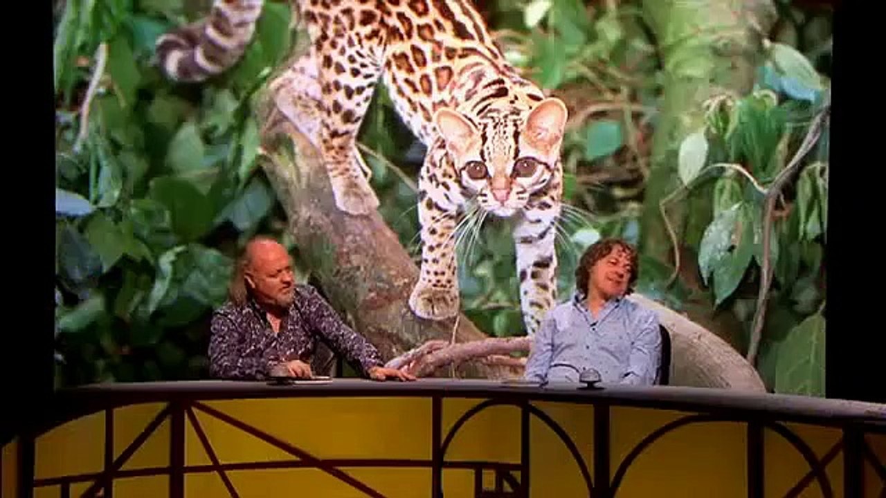 QI XL Se13 - Ep11 HD Watch