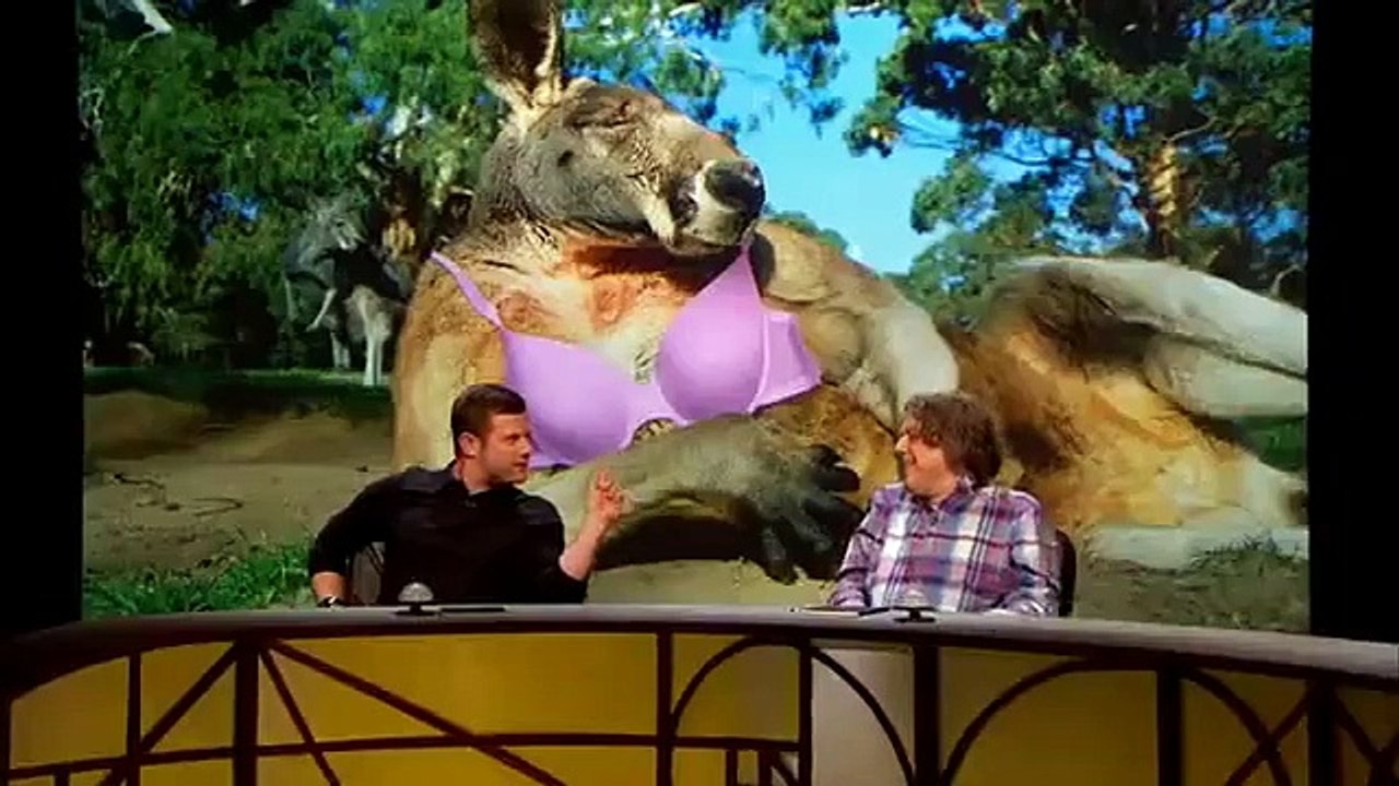 QI XL Se13 - Ep13 HD Watch